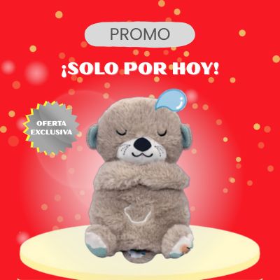 🦦NUTRIA DORMILONA🦦